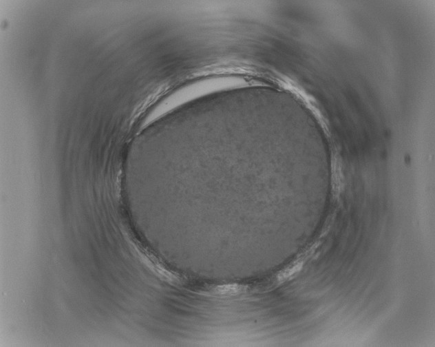 X0000076300153200609291044