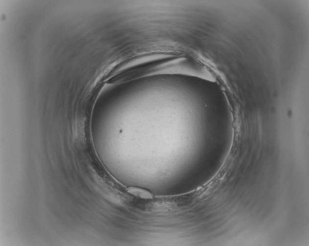 X0000076300154200609291044