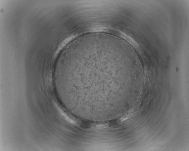 X0000076300155200609291044