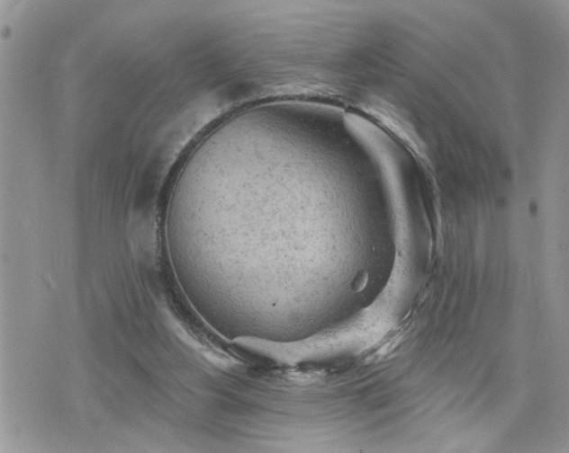 X0000076300156200609291044