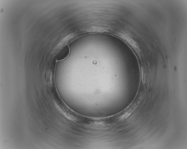 X0000076300157200609291044