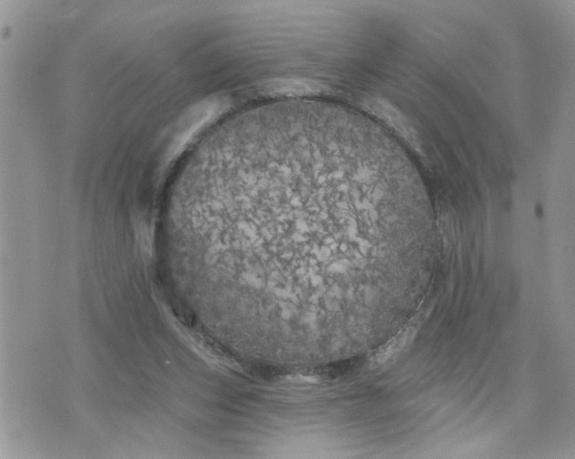 X0000076300159200609291044