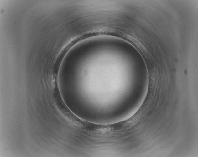 X0000076300160200609291044