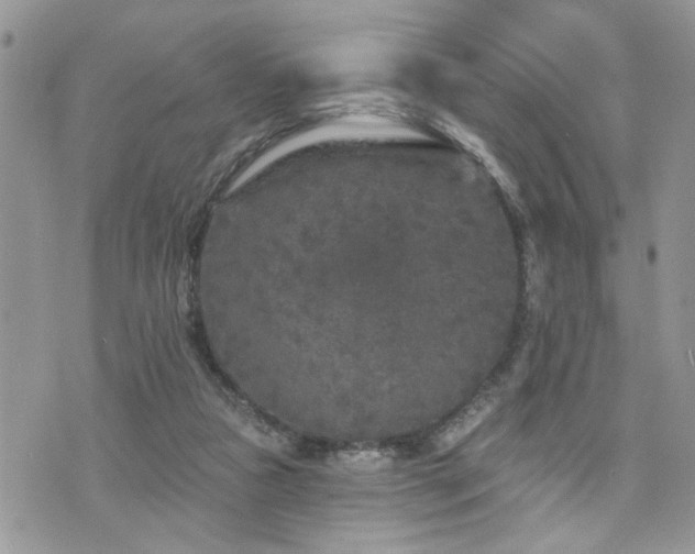 X0000076300161200609291044