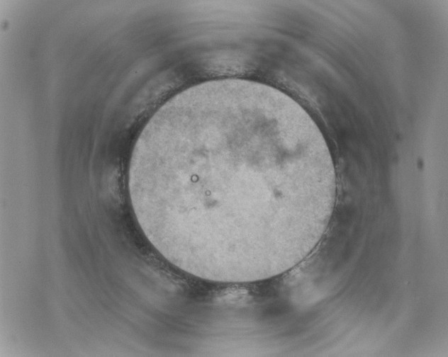 X0000076300162200609291044