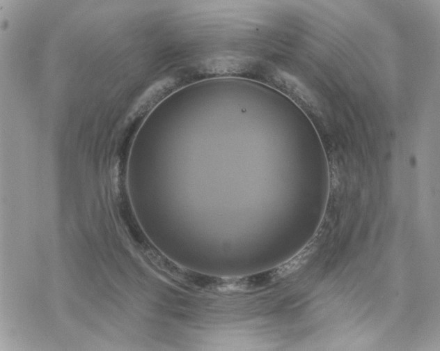 X0000076300163200609291044