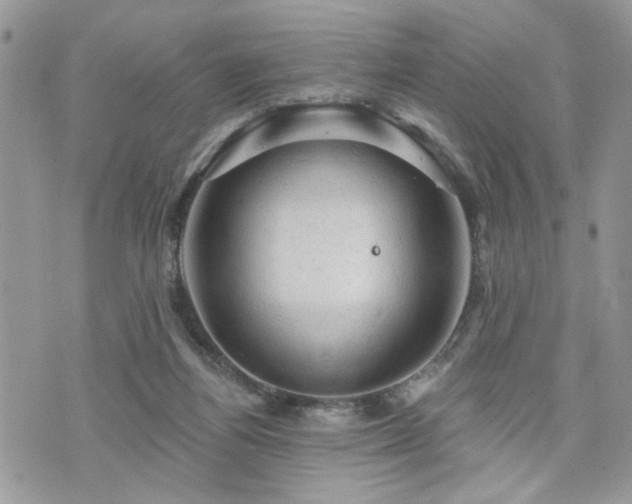 X0000076300164200609291044