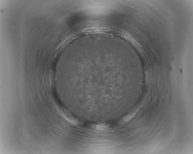 X0000076300165200609291044