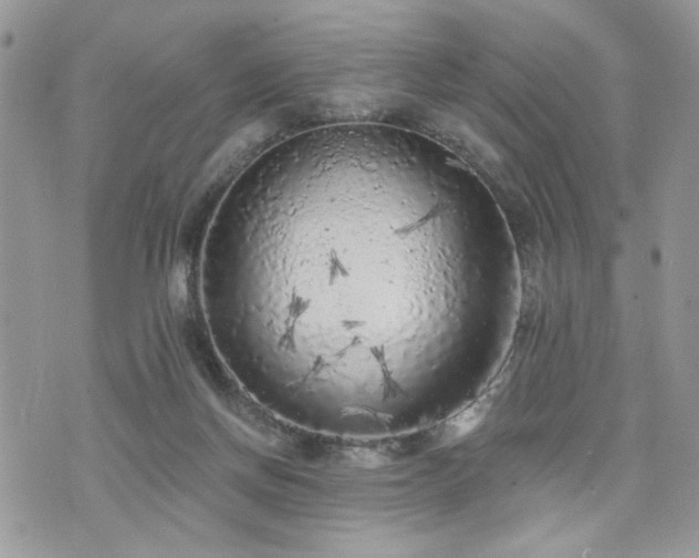 X0000076300166200609291044