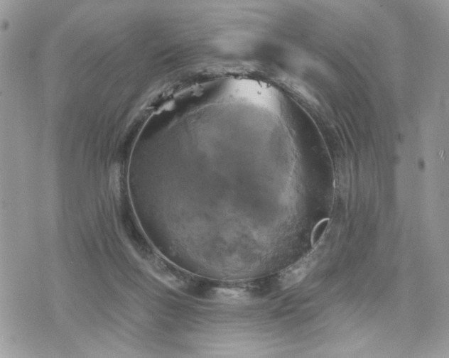 X0000076300167200609291044