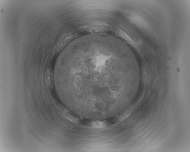 X0000076300169200609291045