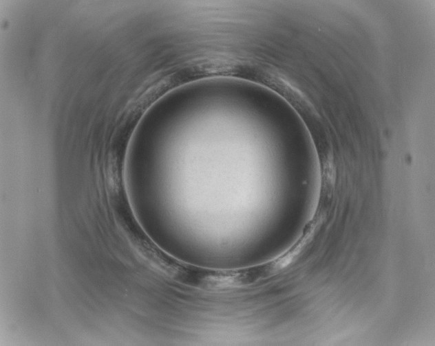 X0000076300170200609291045