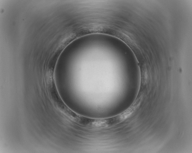 X0000076300172200609291045