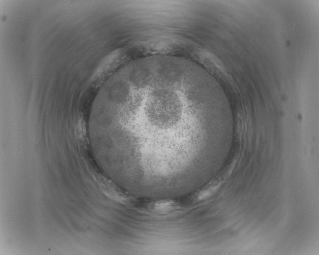 X0000076300173200609291045