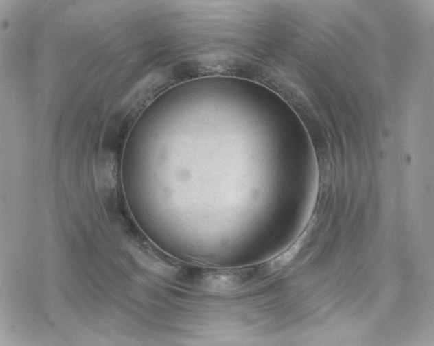 X0000076300174200609291045