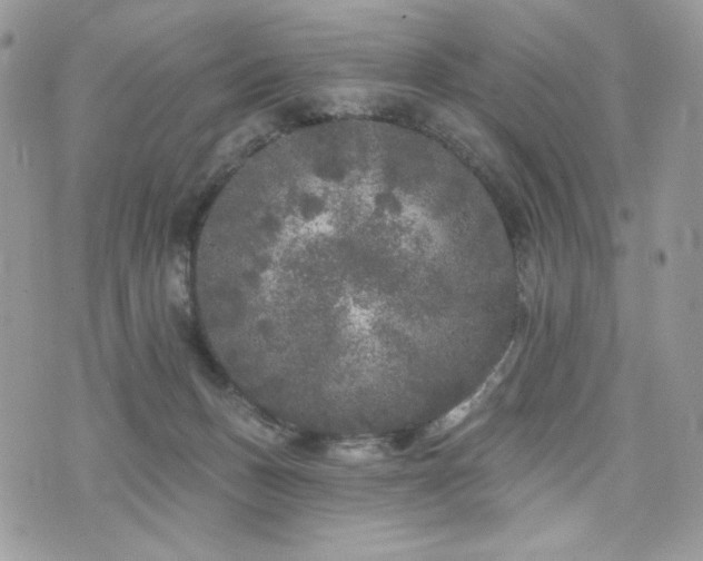 X0000076300175200609291045