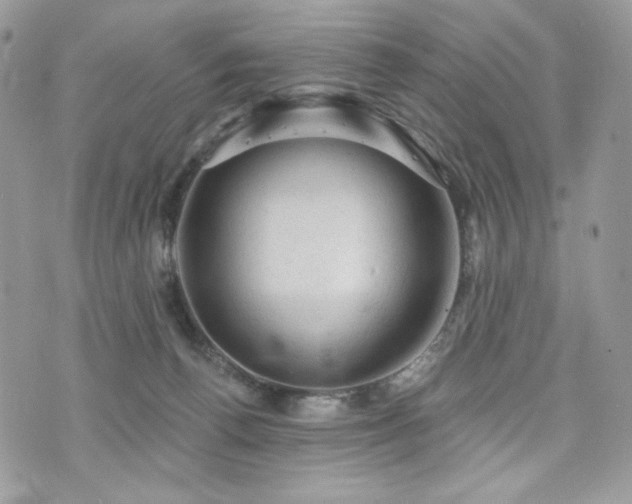 X0000076300176200609291045