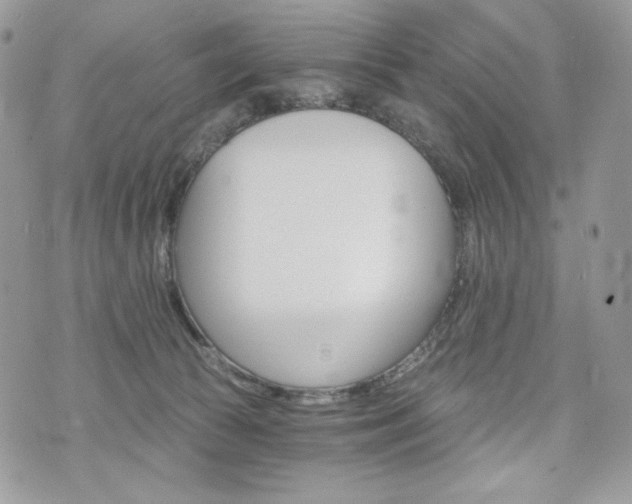 X0000076300177200609291045