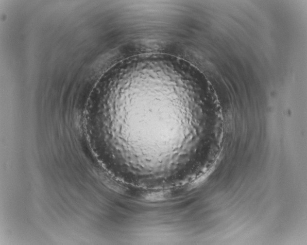 X0000076300178200609291045