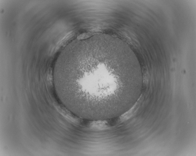 X0000076300179200609291045