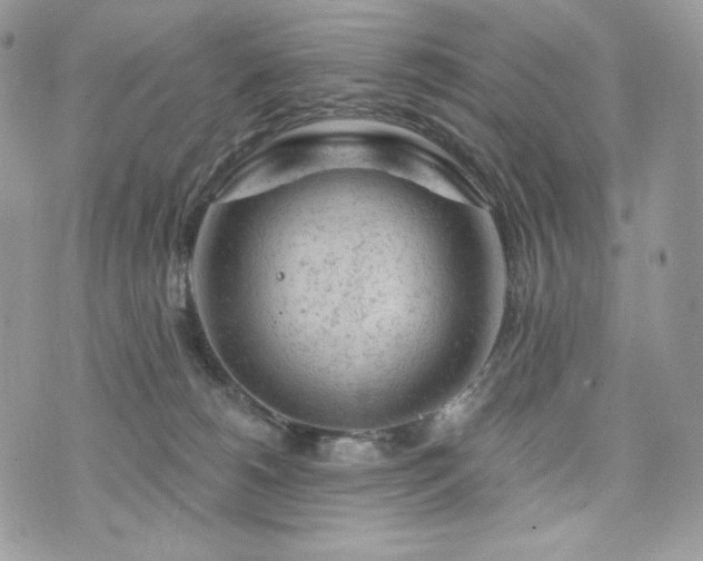 X0000076300180200609291045