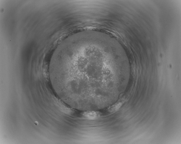 X0000076300181200609291045