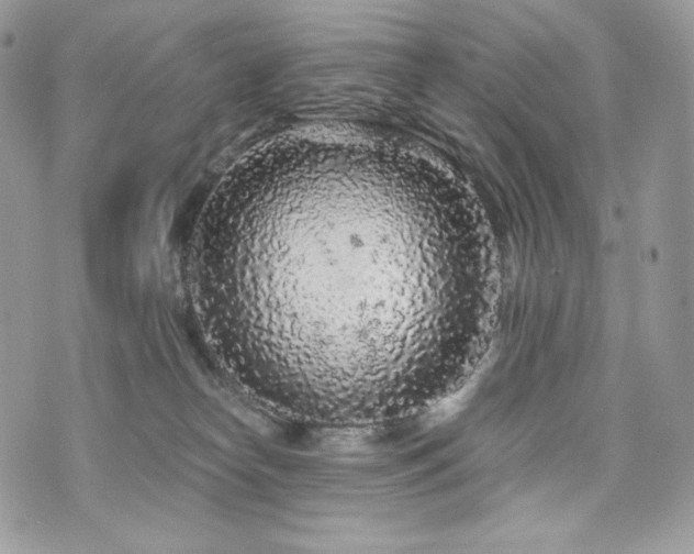 X0000076300182200609291045