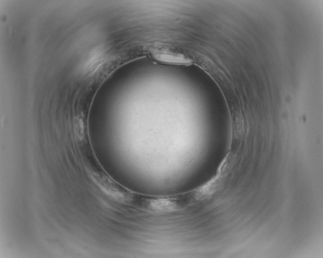 X0000076300183200609291045