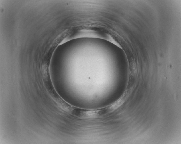 X0000076300184200609291045