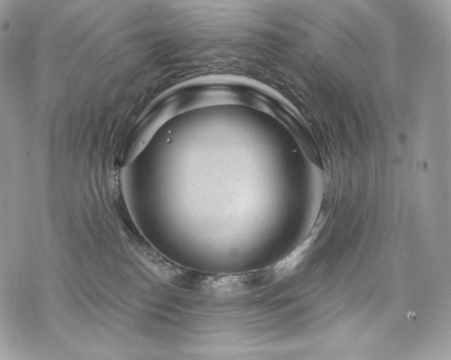 X0000076300186200609291045