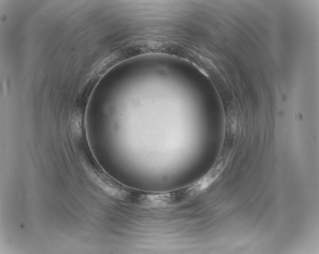 X0000076300188200609291045