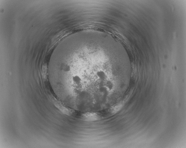 X0000076300189200609291045