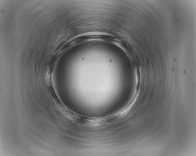 X0000076300190200609291045