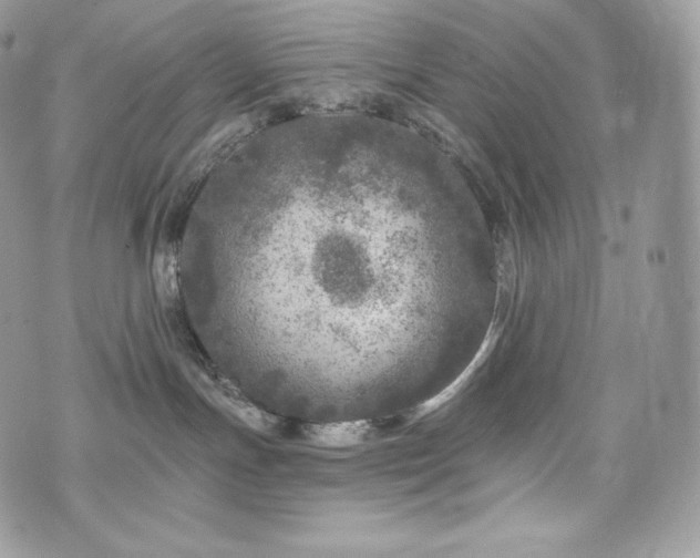 X0000076300191200609291045