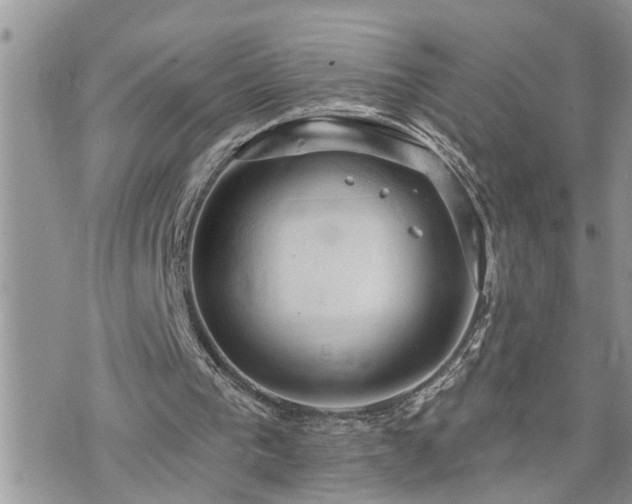 X0000076300193200609291044