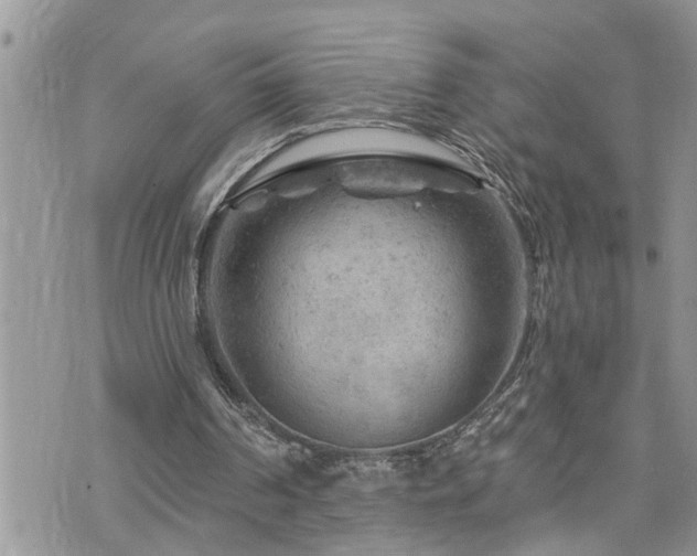 X0000076300194200609291044