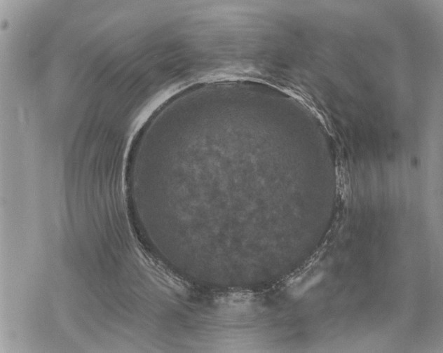 X0000076300196200609291044