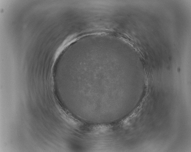 X0000076300198200609291044