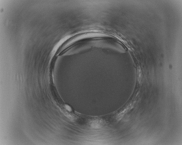 X0000076300200200609291044