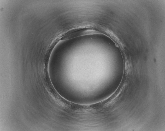 X0000076300201200609291044