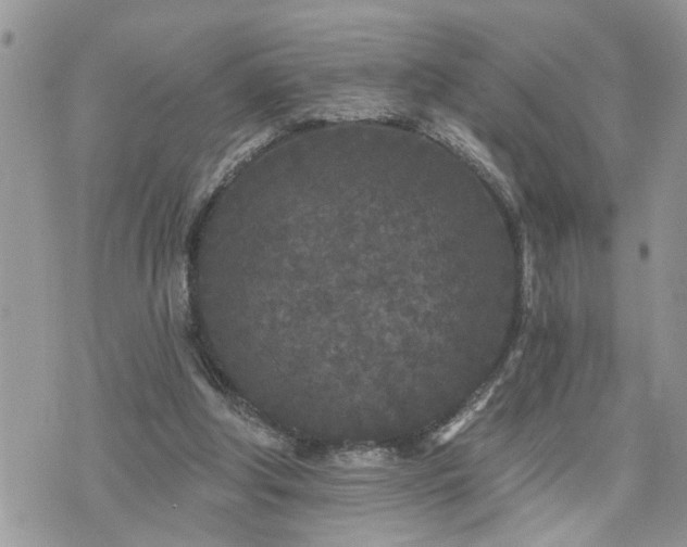 X0000076300202200609291044