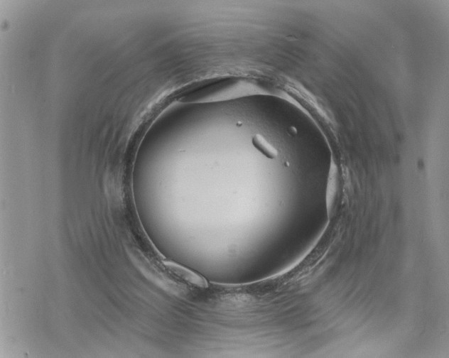 X0000076300203200609291044