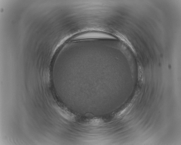 X0000076300204200609291044