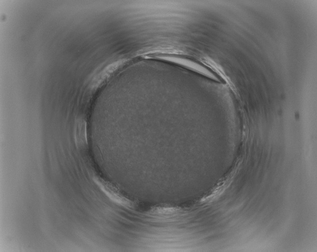 X0000076300205200609291044