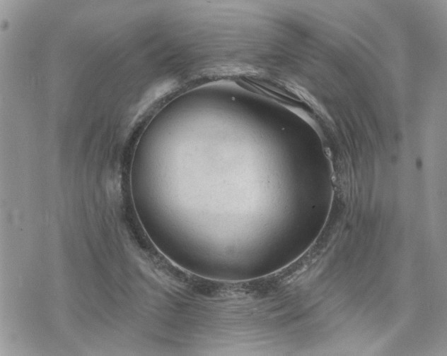 X0000076300207200609291044