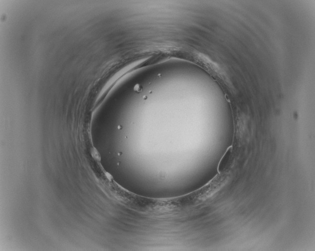 X0000076300209200609291044