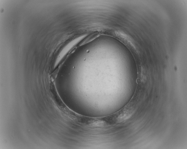 X0000076300210200609291044