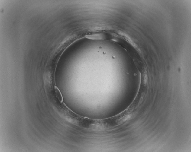 X0000076300211200609291044