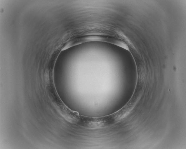 X0000076300213200609291044