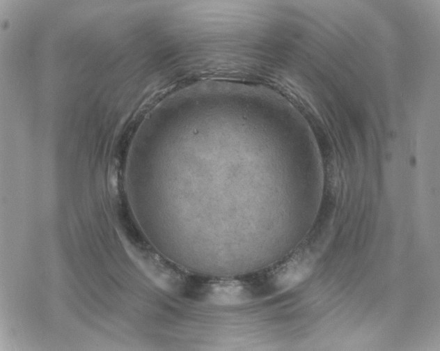 X0000076300214200609291044